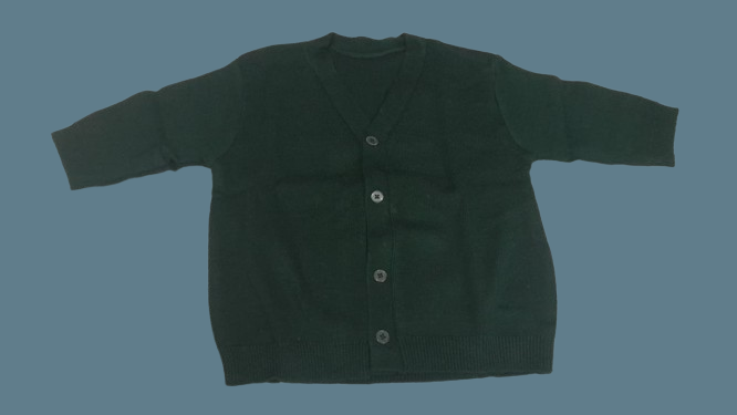 Traditional Hosiery Knitted Full Sleeve Woolen Blouse